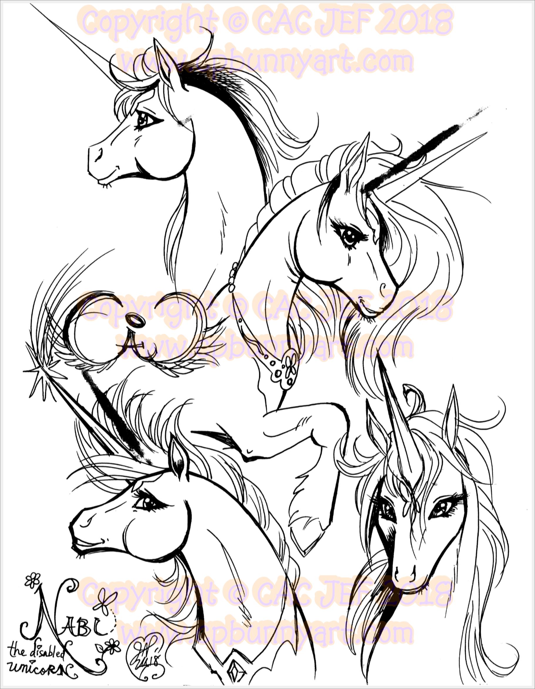 Nabi the Disabled Unicorn